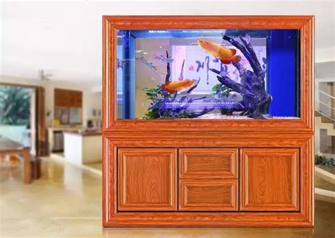 2023 魚缸擺放位置 燕子飛來家裡